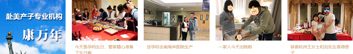 洛壹網(wǎng)絡網(wǎng)站案例