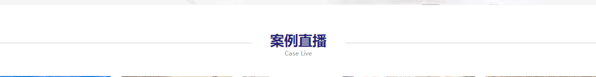 洛壹網(wǎng)絡網(wǎng)站案例