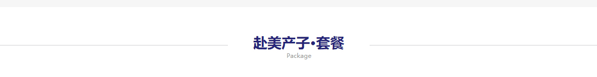 洛壹網(wǎng)絡網(wǎng)站案例