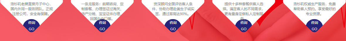 洛壹網(wǎng)絡網(wǎng)站案例