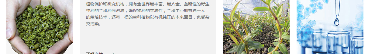 （前海）宏泰頁面設(shè)計(jì)效果圖