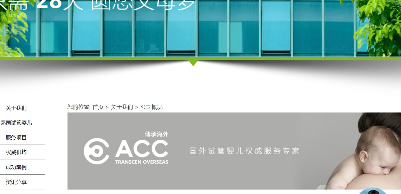 傳承海外頁面設(shè)計效果圖