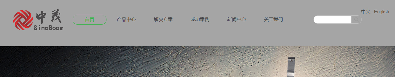洛壹網(wǎng)絡(luò)網(wǎng)站案例