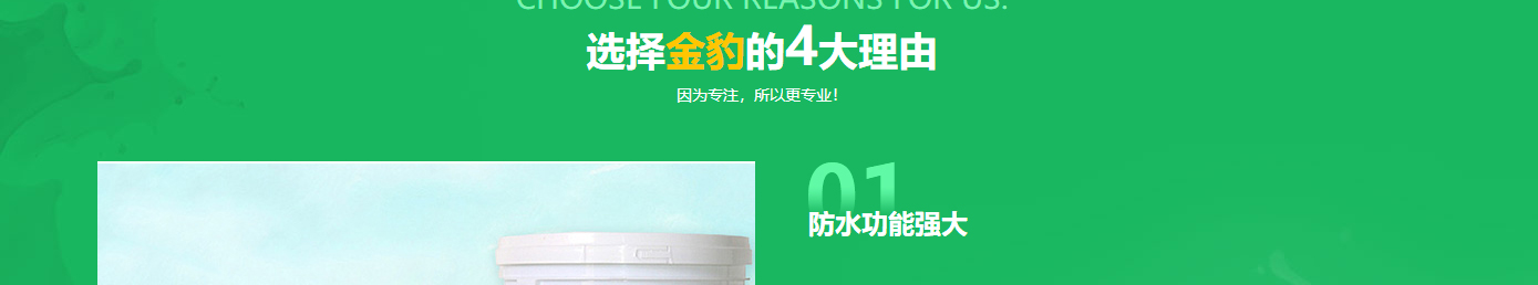 洛壹網(wǎng)絡(luò)網(wǎng)站案例